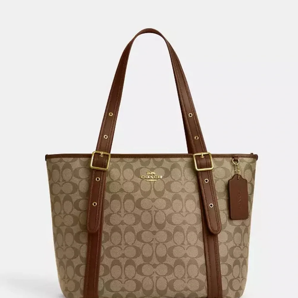 Coach Ashton Tote In Signature Canvas